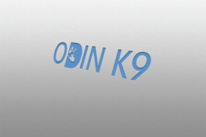 Diseño de Logo por Hossen 2 para este proyecto | Diseño: #17713841