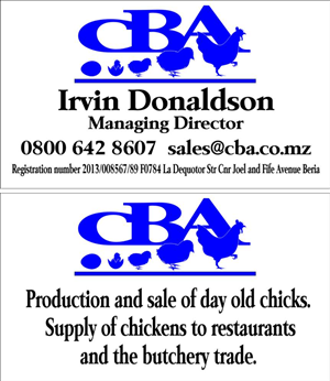 Logo and Business Card Design by FUB