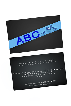 Logo and Business Card Design by princesamado1