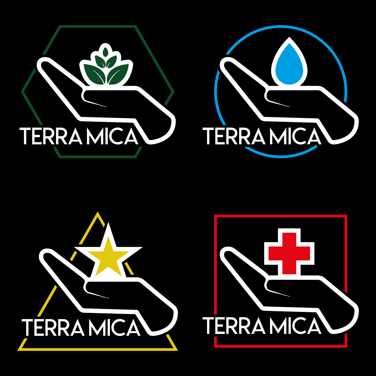 Graphic Design by Dbgn for TerraMica | Design #17736795