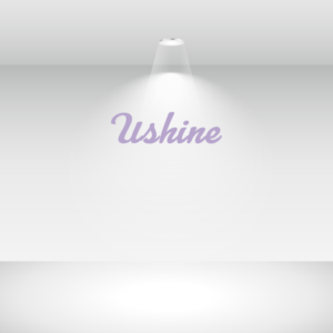 Logo-Design von shimu 3 für Central Amusement International LLC | Design: #17722224