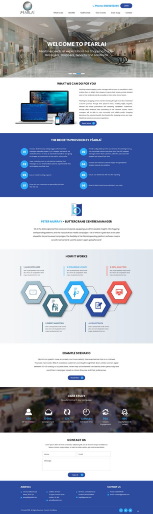 Web Design by pb for Péarlai LTD  | Design: #17727849