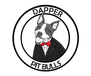 Logo Design by bryzilla for this project | Design #2799119