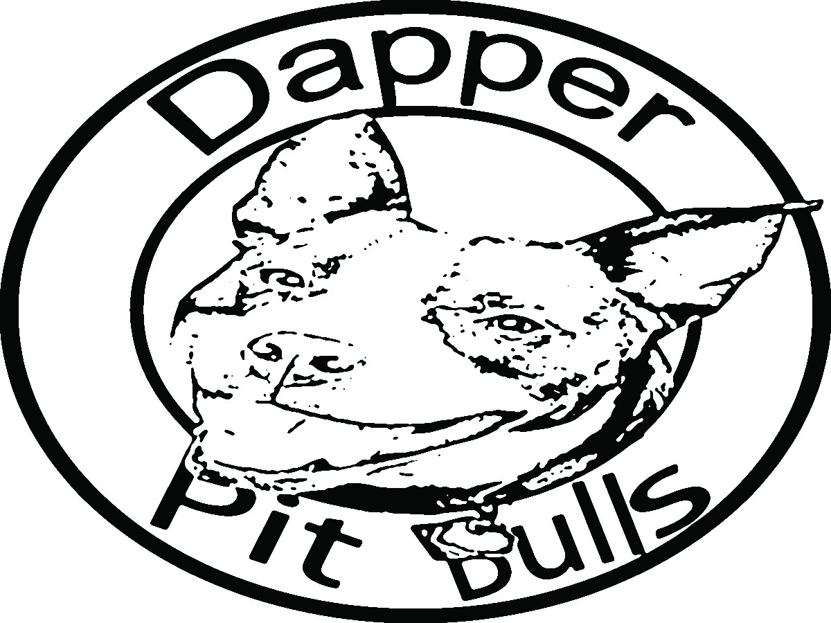 Logo Design by Safi Khan for this project | Design #2796504