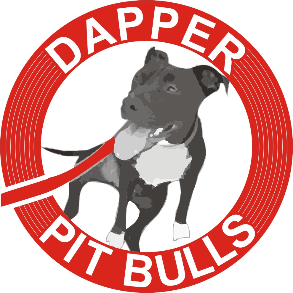 Logo-Design von PAWAN GRAPHICS für dieses Projekt | Design #2782734