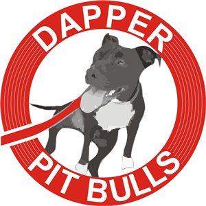 Logo Design by PAWAN GRAPHICS