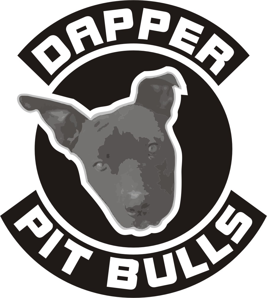 Logo Design by PAWAN GRAPHICS for this project | Design #2785628