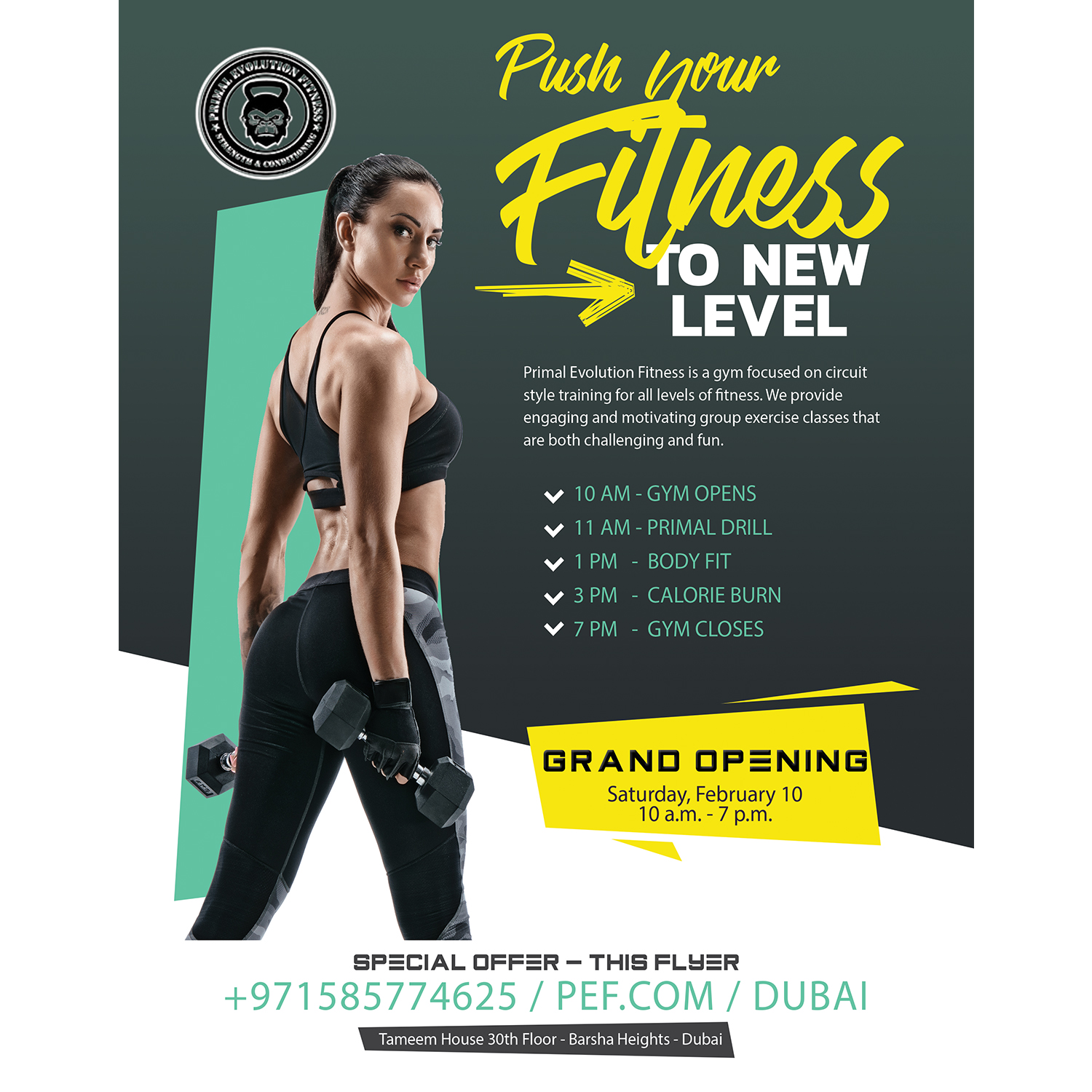elegant playful fitness flyer design for primal evolution fitness