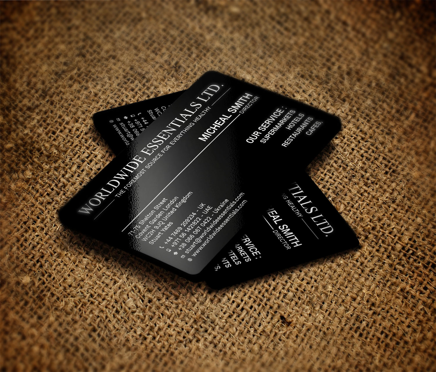 Business Card Design by Tripti Ranjan Gain for this project | Design #17710238