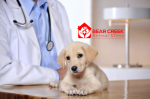 Design de Logo par Hemelahmed247 pour Bear Creek Animal Clinic | Design : #17716618