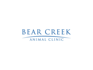 Logo Design by Ash graphix