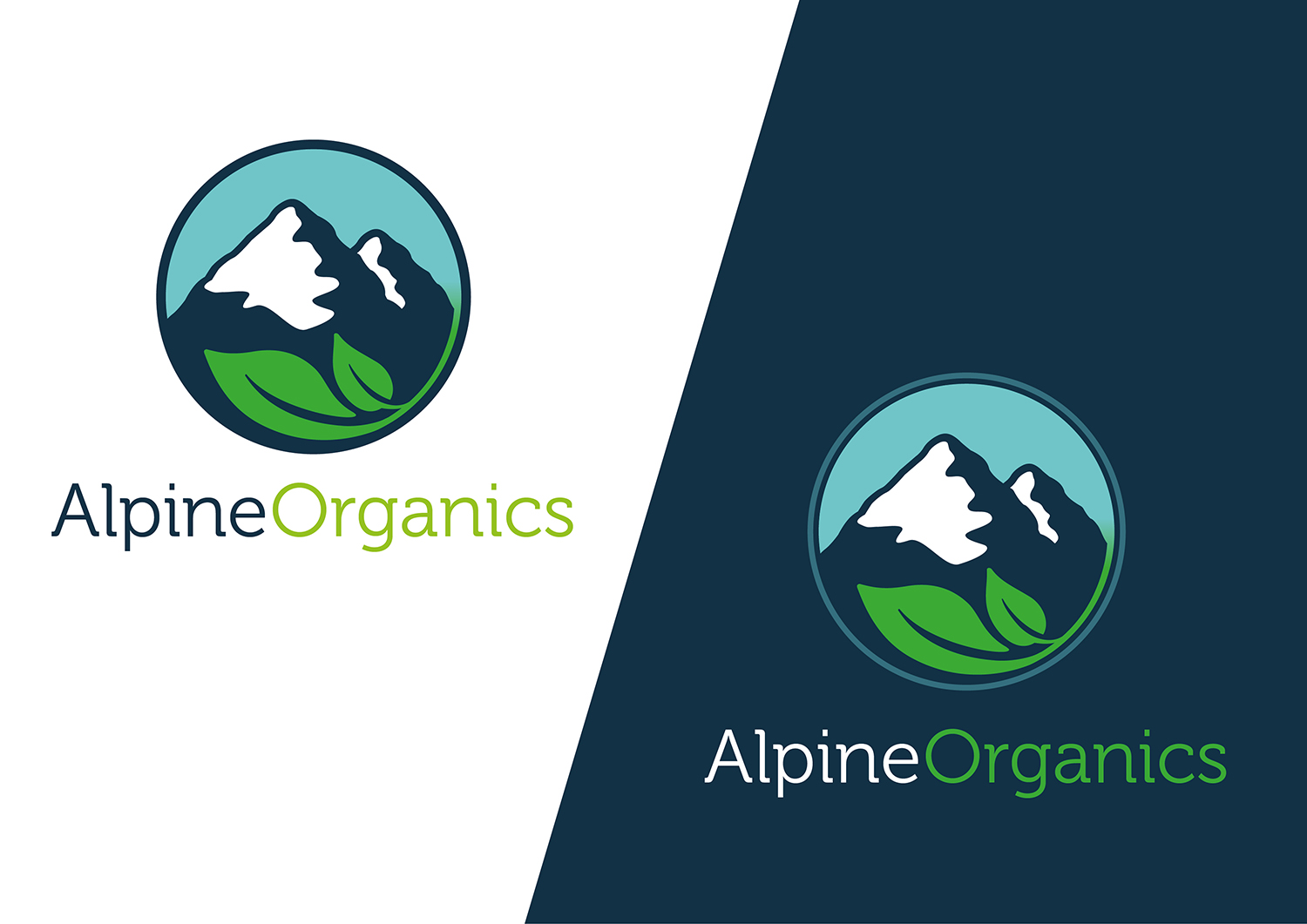 Logo Design by Channel Studio for this project | Design #17741125