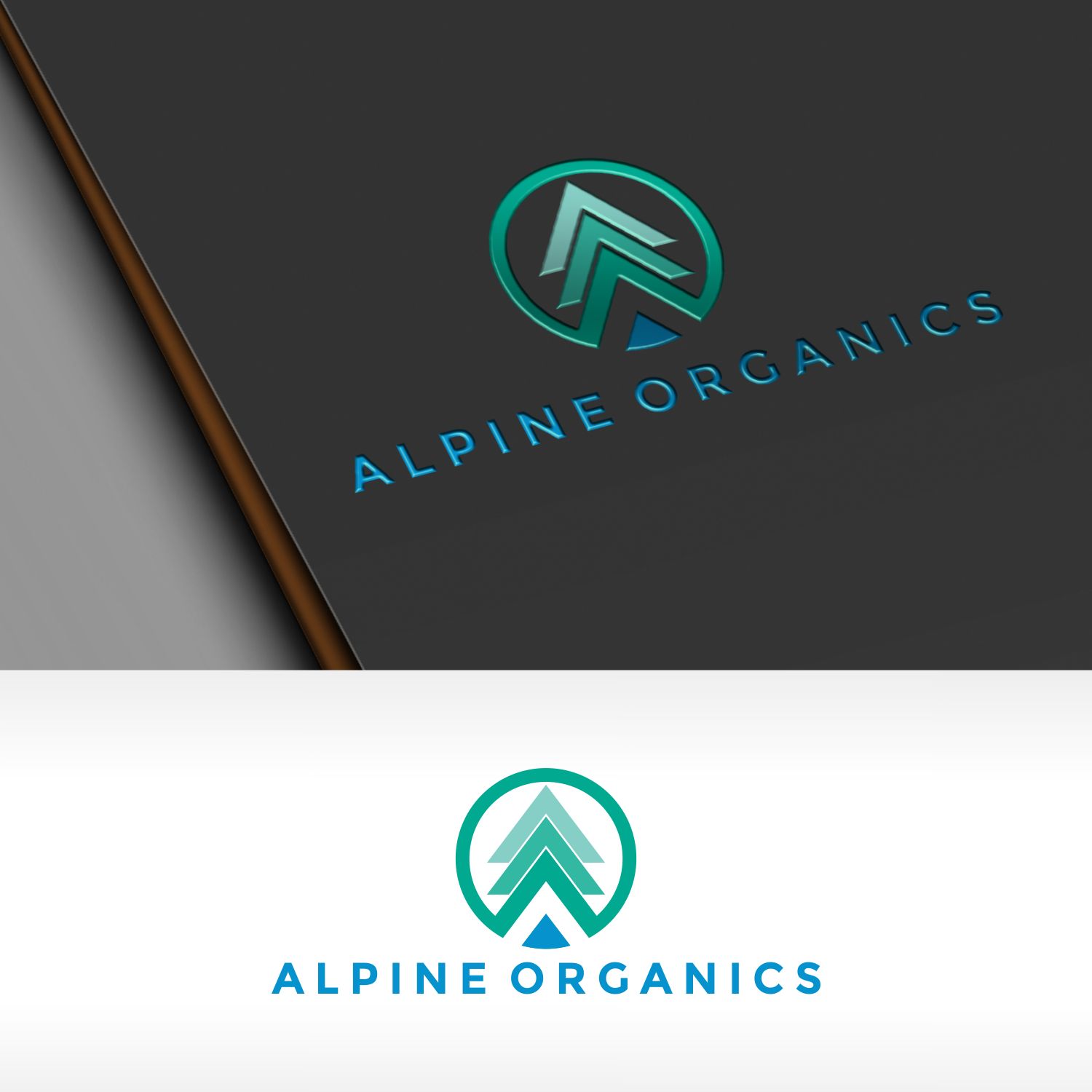 Logo Design by Joenet Jayawarna for this project | Design #17899228