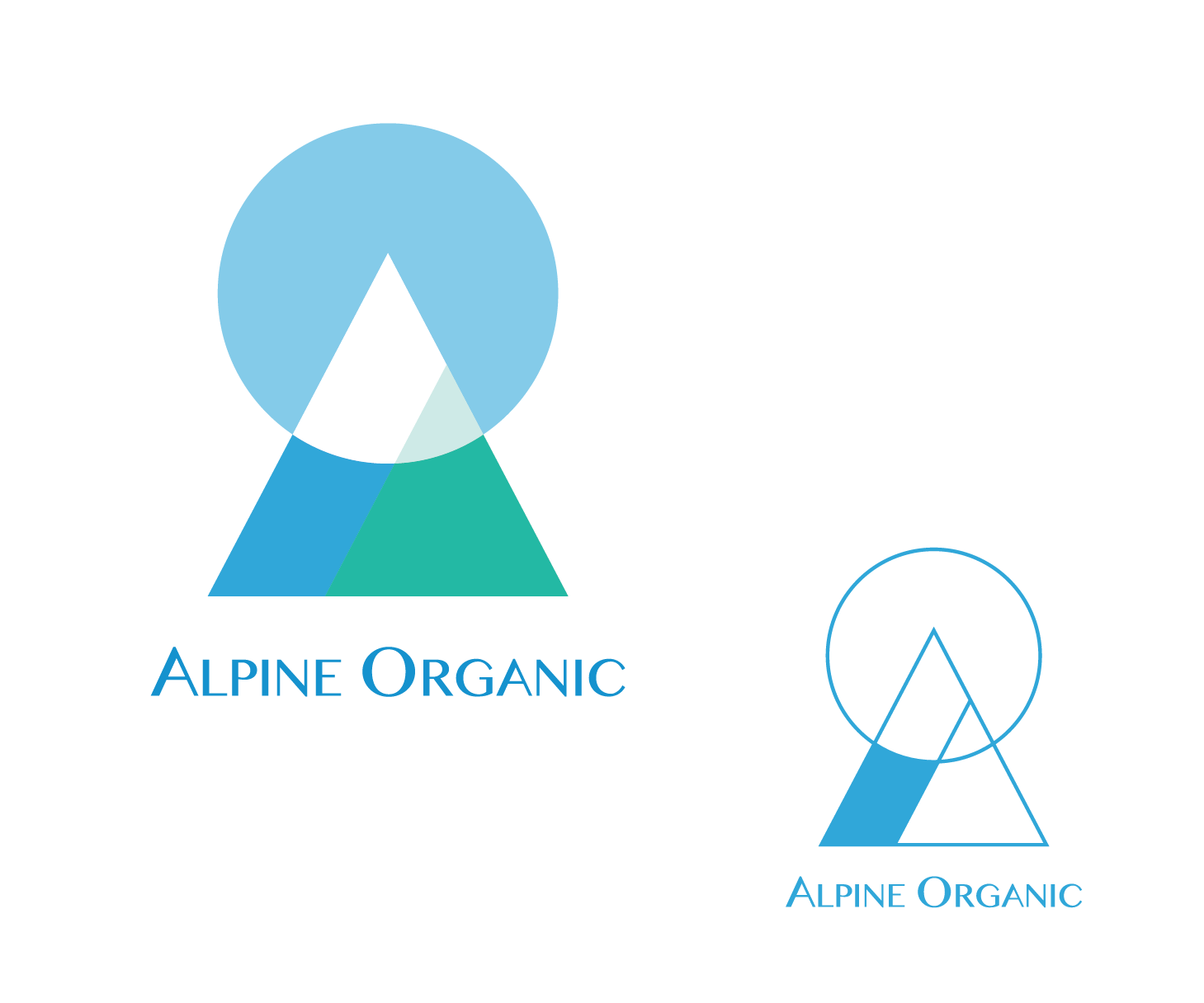 Diseño de Logo por melodyshiue para este proyecto | Diseño #17728274