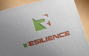 Logo Design by Lioness Designs for HK Enterprise | Design #17892028