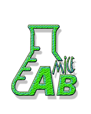 Logo Design by EN design