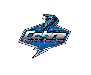 Logo-Design von Graphicsexpert