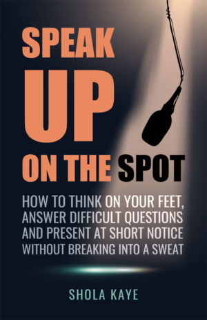 Book Cover Design by elenaivanova