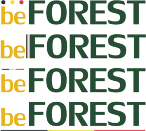 Logo Design by Albion Design Project