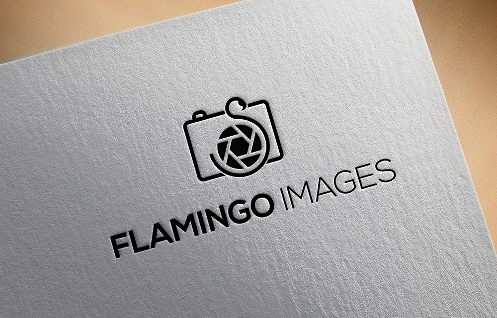 Logo Design by Anooshaa for UBER IMAGES | Design #17787050