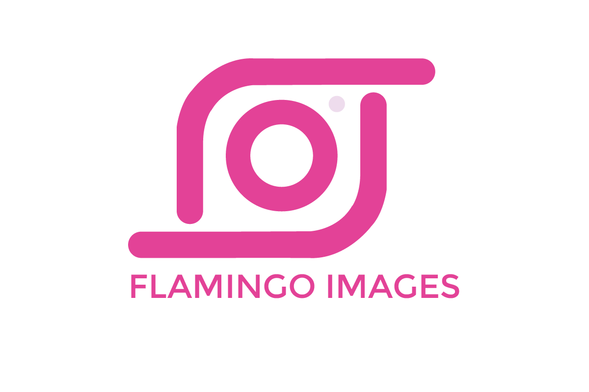 Logo Design by Khan Graphics for UBER IMAGES | Design #17740011
