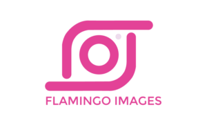 Logo Design by Khan Graphics for UBER IMAGES | Design: #17740011