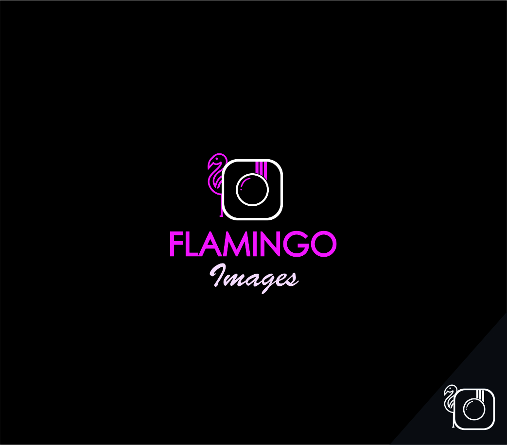 Logo Design by Pevita for UBER IMAGES | Design #17824180