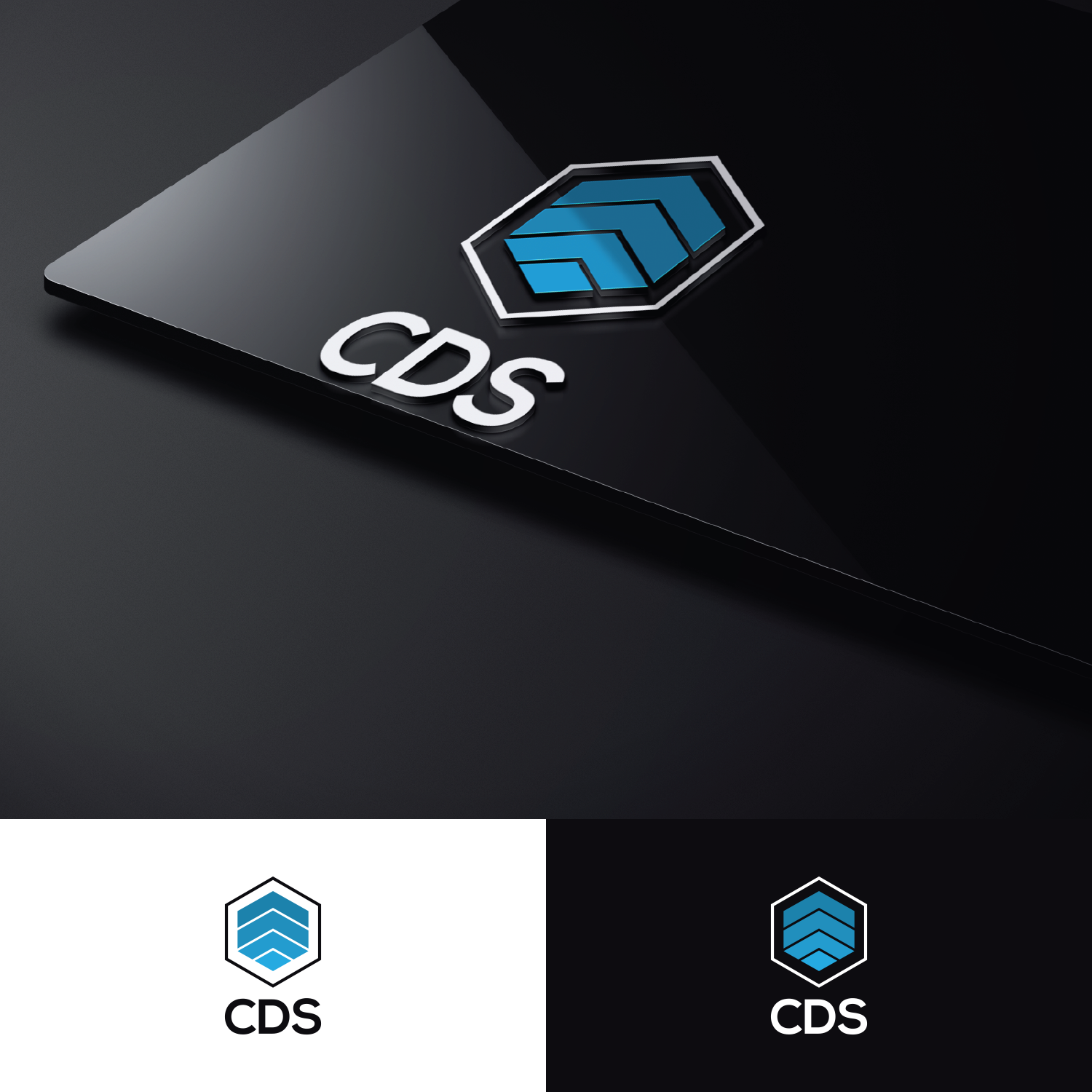 Logo Design by BRAT Studio for Carpe Diem South | Design #17733555
