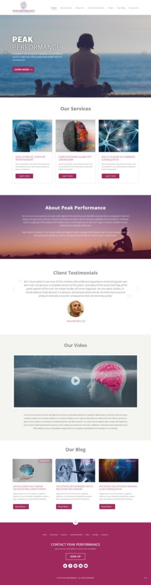 Design Wordpress par pb pour NeuroPrima | Design : #17741541