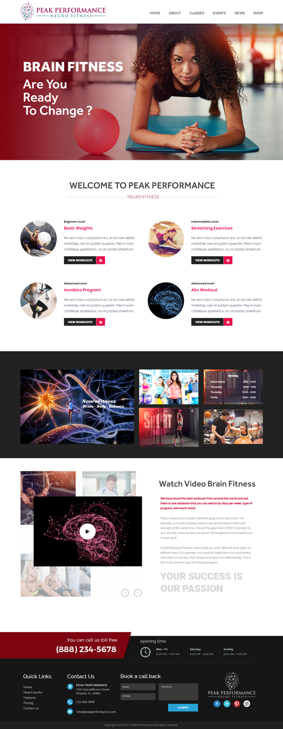 Wordpress Design by Xclusive Designers for NeuroPrima | Design #17736488