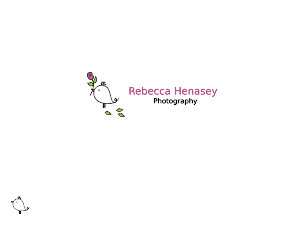 Logo Design by Lion Creations
