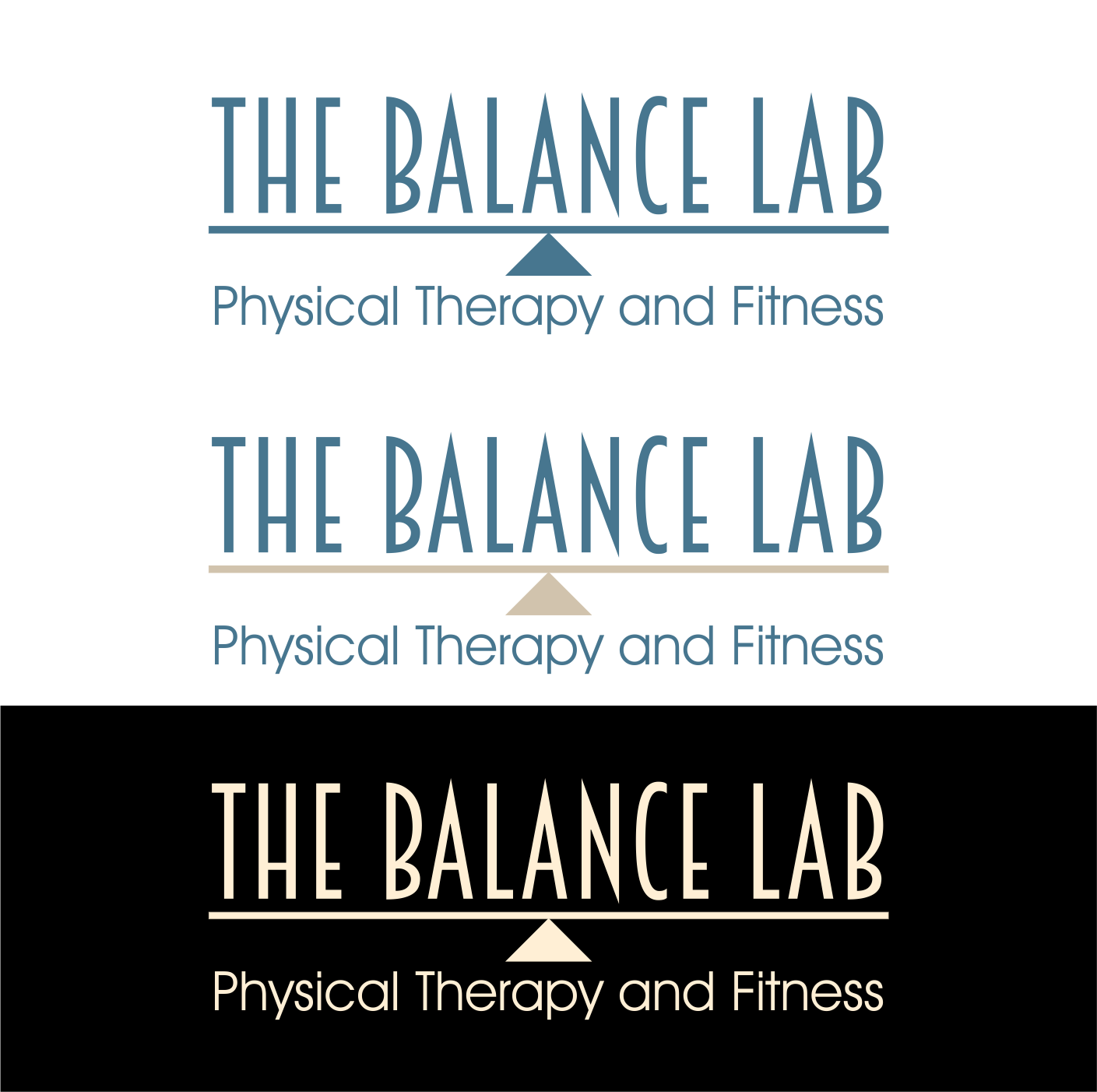 Logo Design by mariuscimpoies for this project | Design #17798993