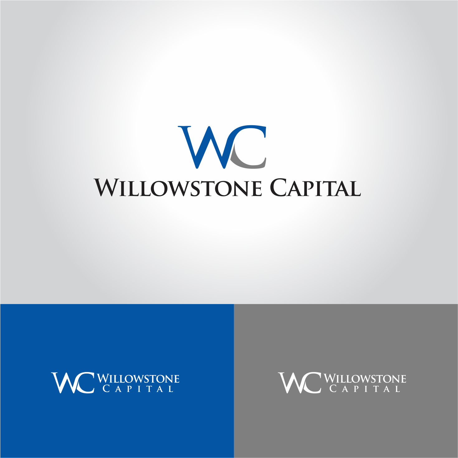 Design de Logo par Arham Hidayat pour Willowstone Capital | Design #17759847