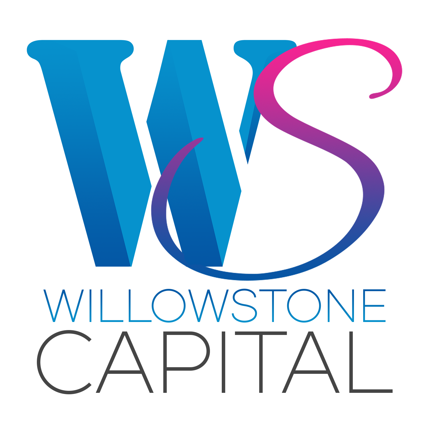 Diseño de Logo por Type.gaurav para Willowstone Capital | Diseño #17753725