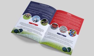 Junior Rugby Event needs 4 page Brochure | Diseño de Flyer por ecorokerz