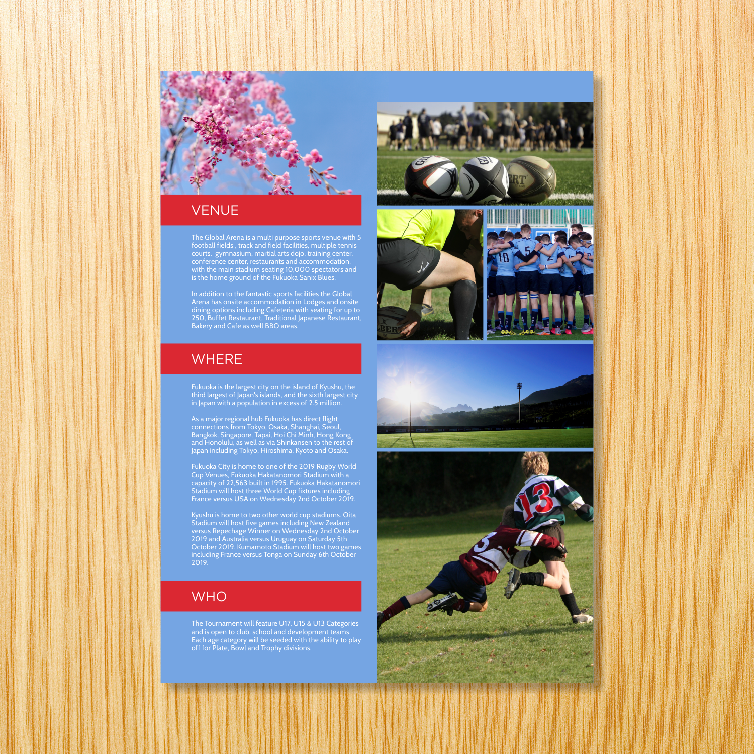 Design de Flyer par barinix pour ce projet | Design #17776986