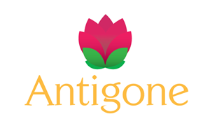Logo Design by CommonFox