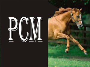 Logo-Design von purnomo für dieses Projekt | Design: #2795102