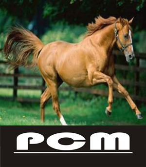 Logo-Design von purnomo für dieses Projekt | Design: #2795207