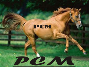 Logo-Design von purnomo für dieses Projekt | Design: #2795229