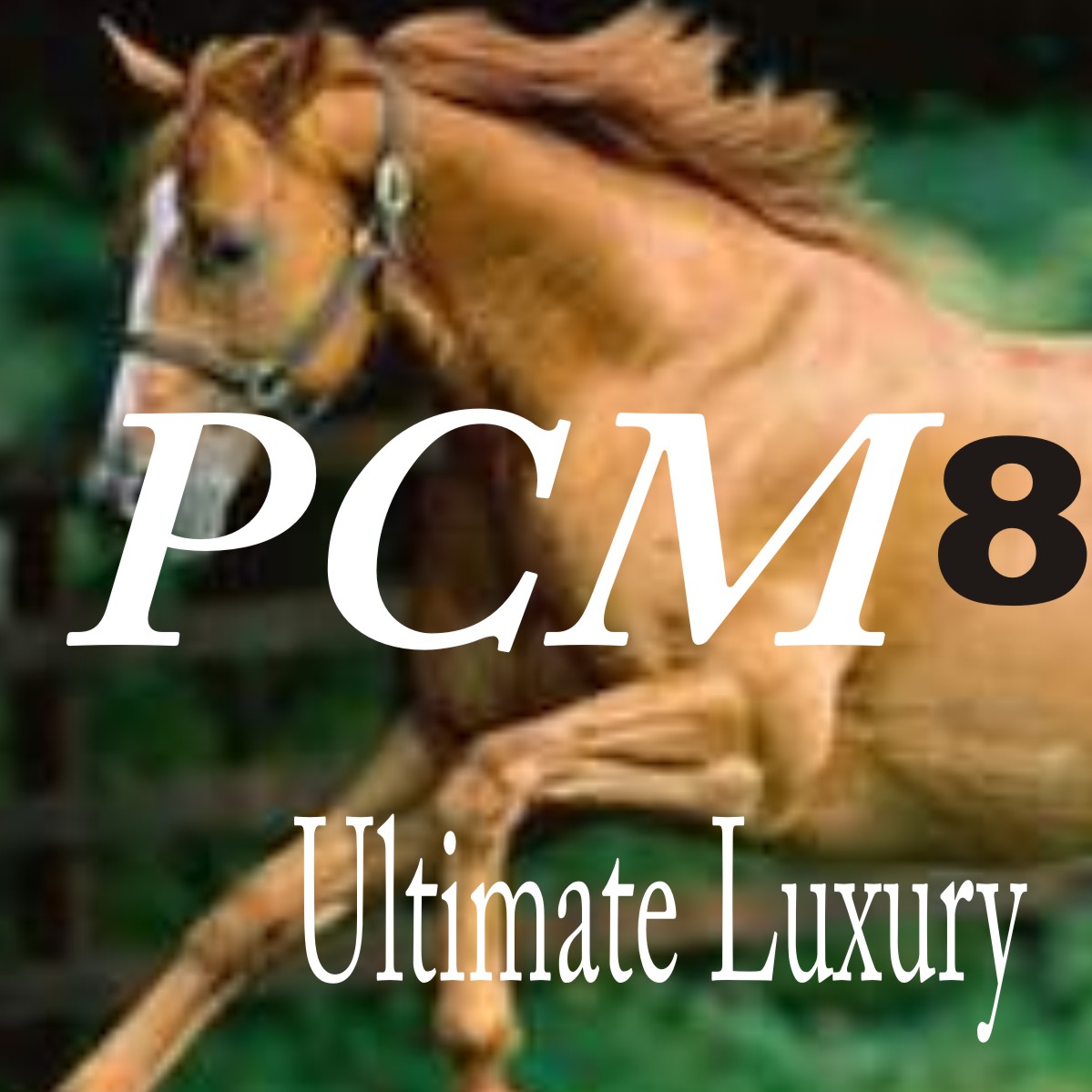 Logo Design by purnomo for this project | Design #2838974