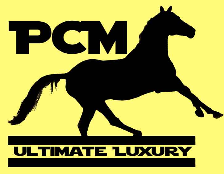 Logo-Design von abhishek303502 für dieses Projekt | Design #2747145