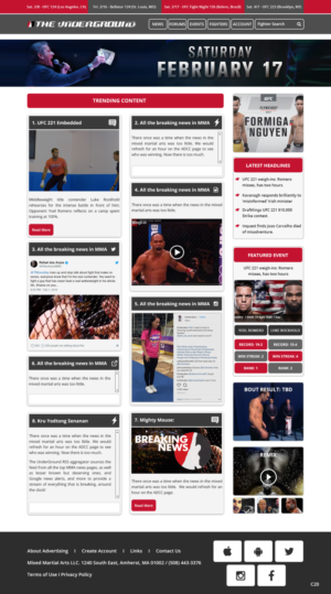 Web Design by pb for Mixedmartialarts LLC | Design: #17748991