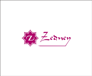 Logo Design by Amit Arts for Zedney | Design #2757492