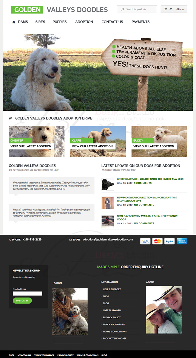 Web Design par Caroloh pour ce projet | Design #2791727