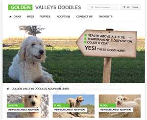 Web Design by Caroloh for this project | Design: #2791734