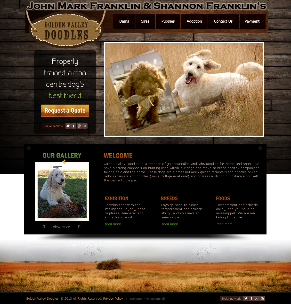 Web Design by DesignsVille for this project | Design: #2836862