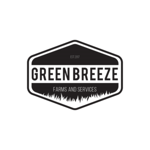 Logo Design by Doru Simion