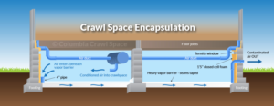 Crawlspace illustration | Design Illustration par Valtti Design