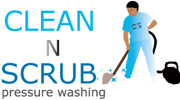 Logo Design by omi10 for Clean N Scrub | Design #17761542